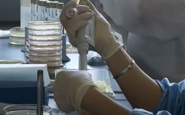 Stalin-era alternative to antibiotics developed in Tbilisi