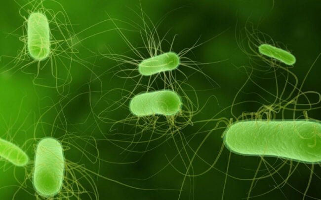 Antibiotic misuse and rise of superbugs - WHO report