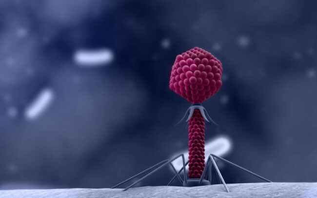Phage therapy for Nethertons Syndrome in 16-year-old patient