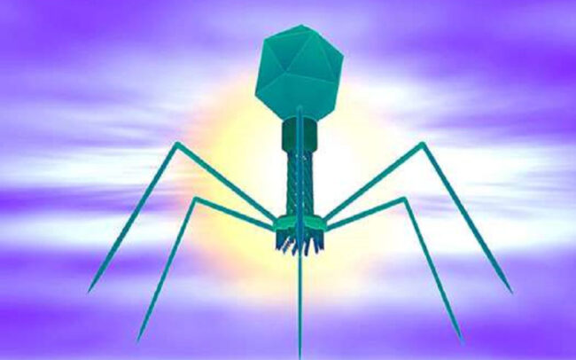 Addressing superbug resistance with phage therapy at Eliava Center